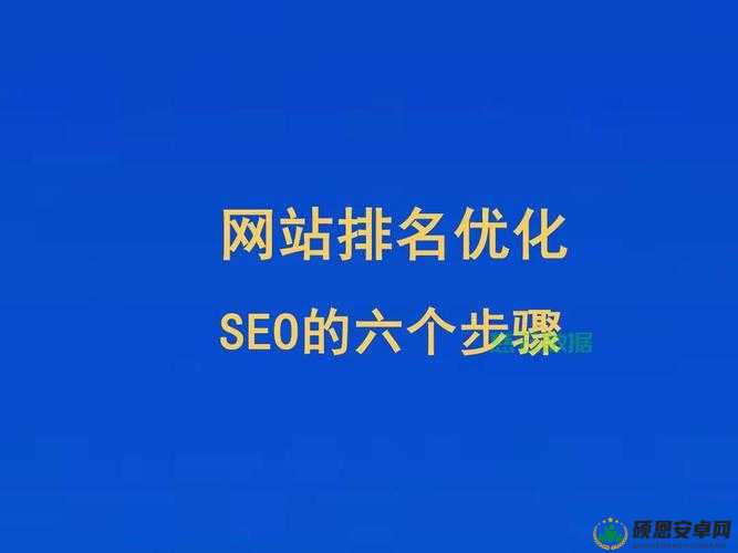 SEO 短视频网页入口：提升网站排名的秘密武器